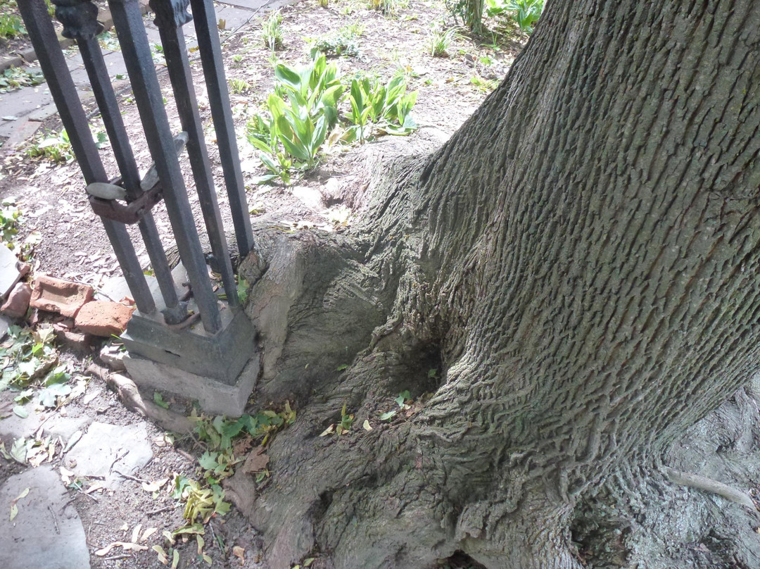 Oakville Museum-奥克维尔必去景点