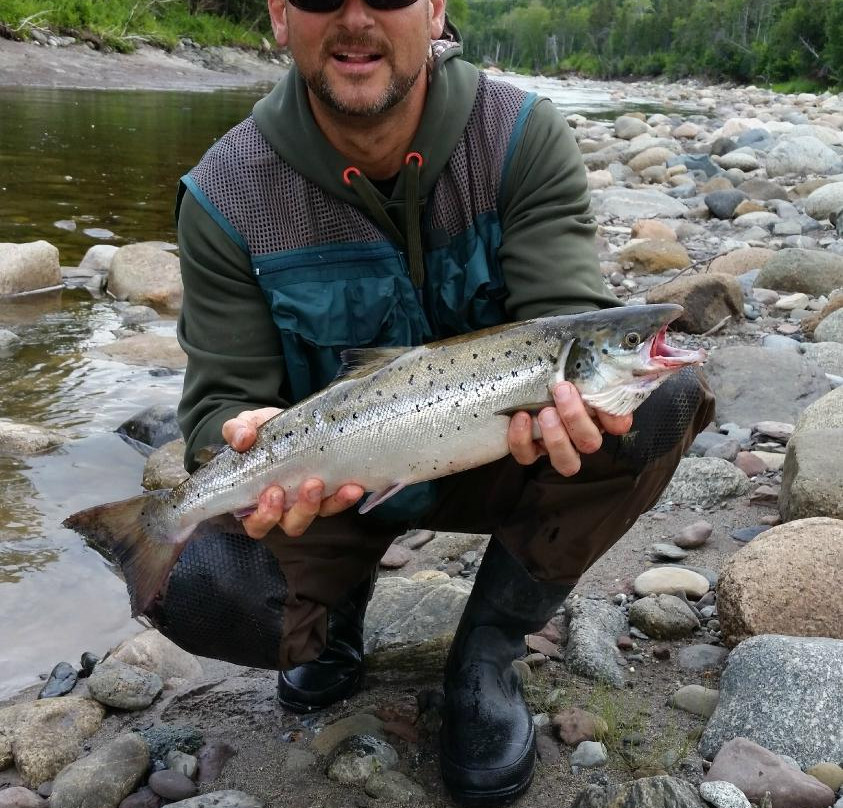 Shudamunks Adventure Tours-Port aux Basques必去景点