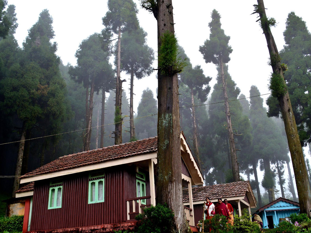 Kolakham Village酒店住宿-WBFDC LAVA Nature Resort