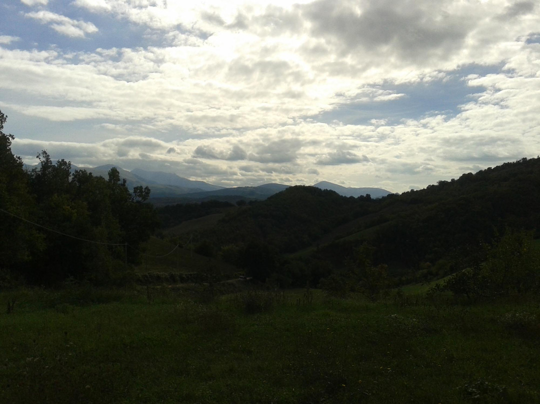 Agriturismo La Castellina主图