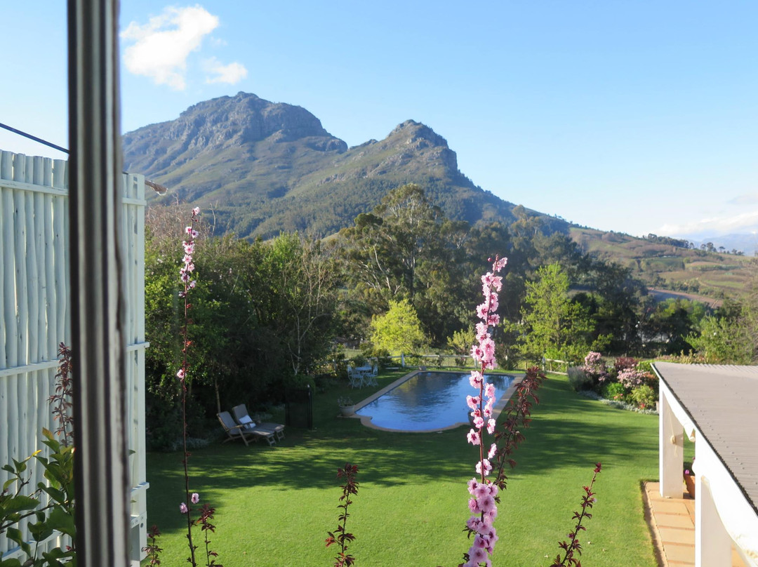 Camberley Wines-斯泰伦博斯必去景点