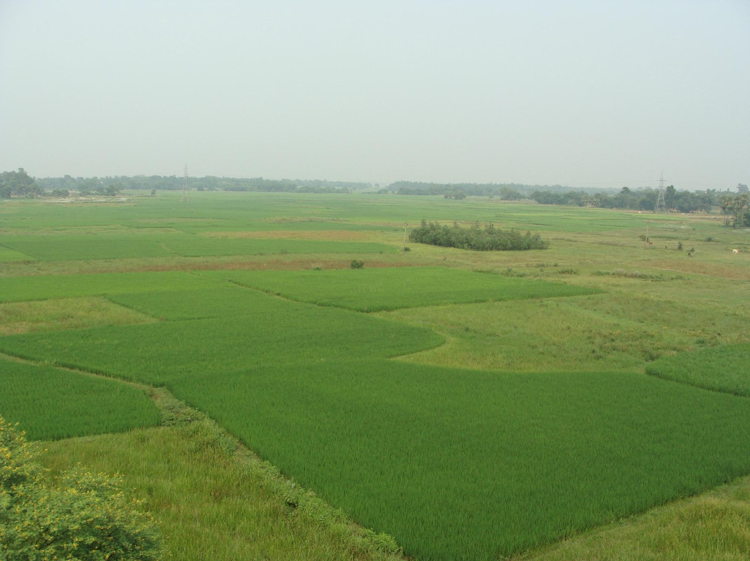 Raktajaba Tourist Lodge