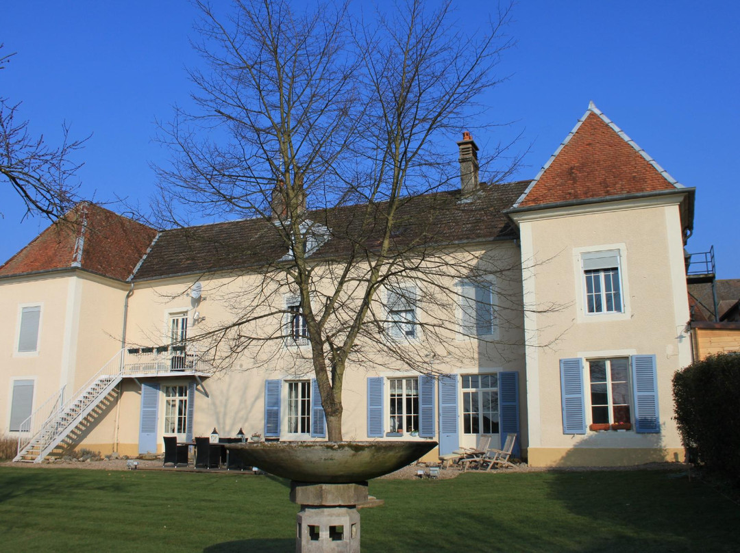 Petit Chateau Armand Bourgoin主图