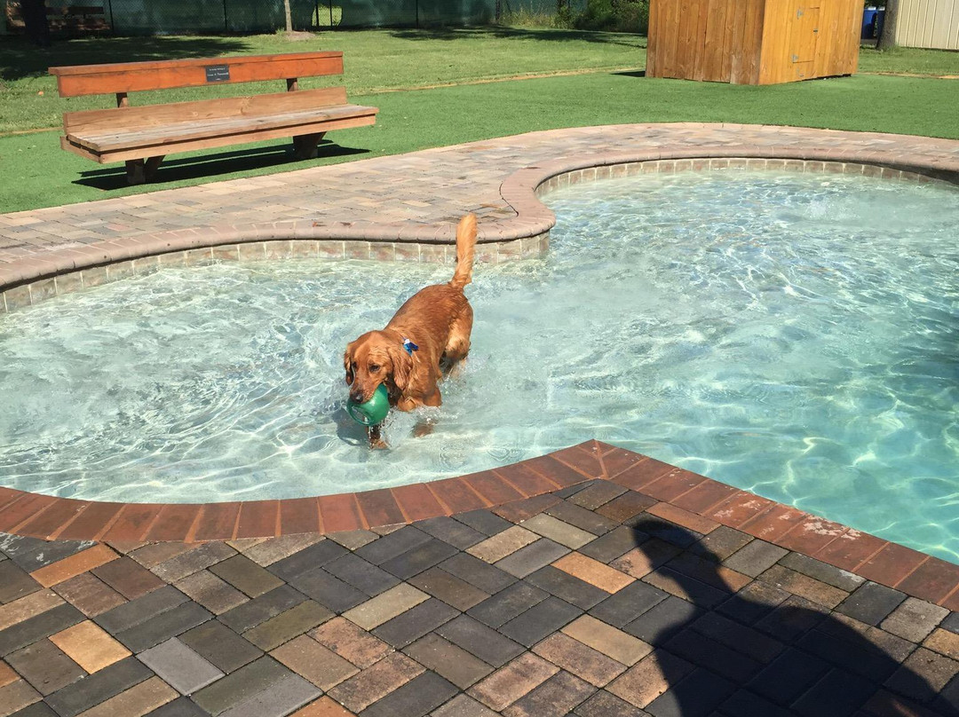 Nassau Humane Society Dog Park-费尔南迪纳岛必去景点