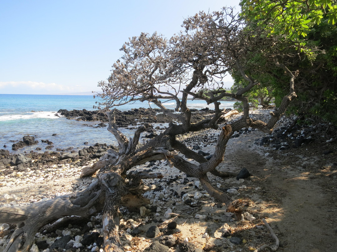 Holoholokai海滩公园-夏威夷大岛必去景点