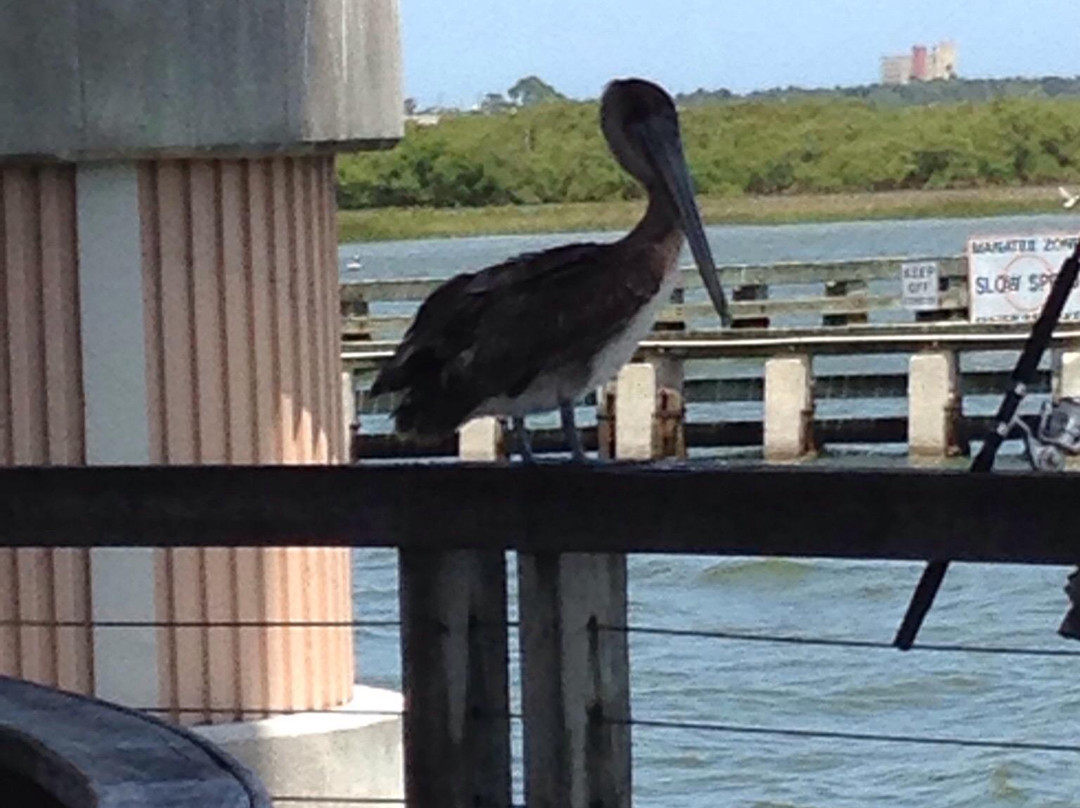 Riverside Park景点图片
