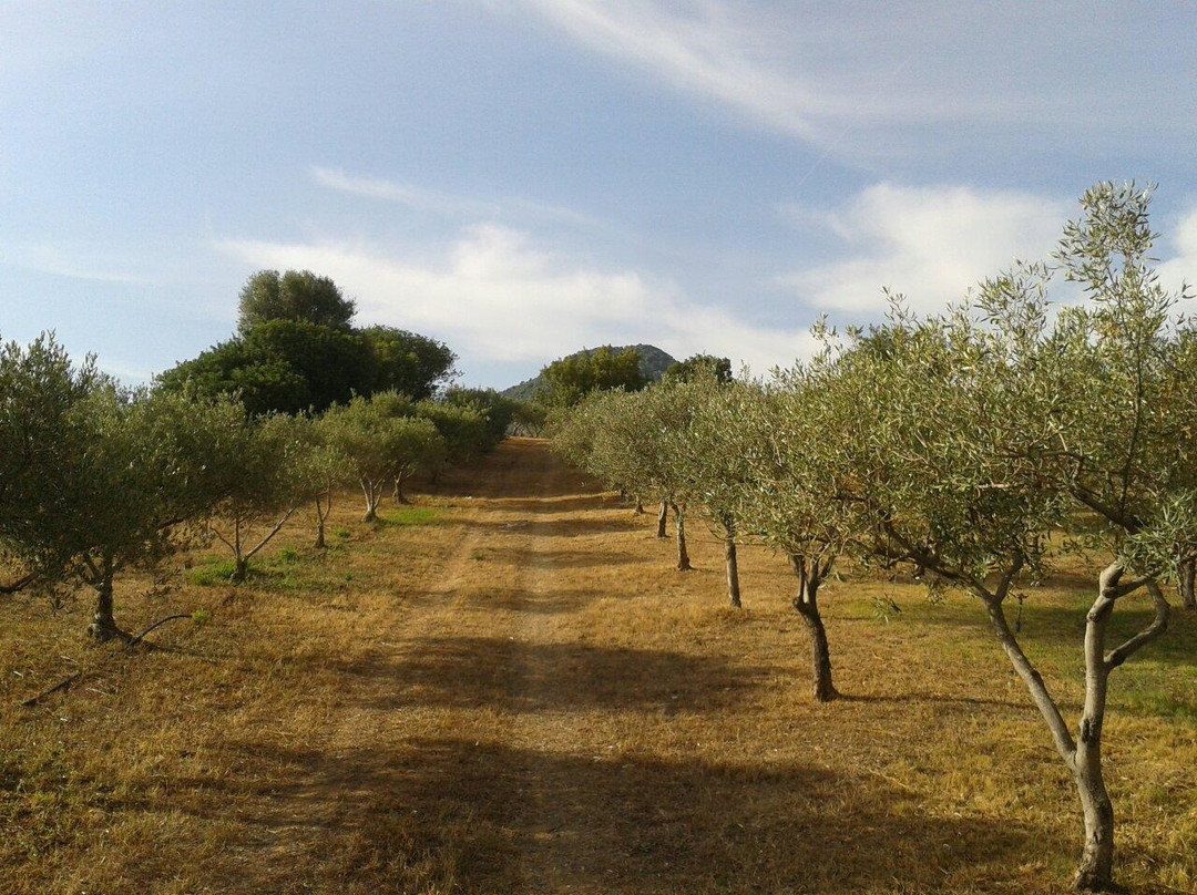 Il Castello di Gioiosa Guardia主图