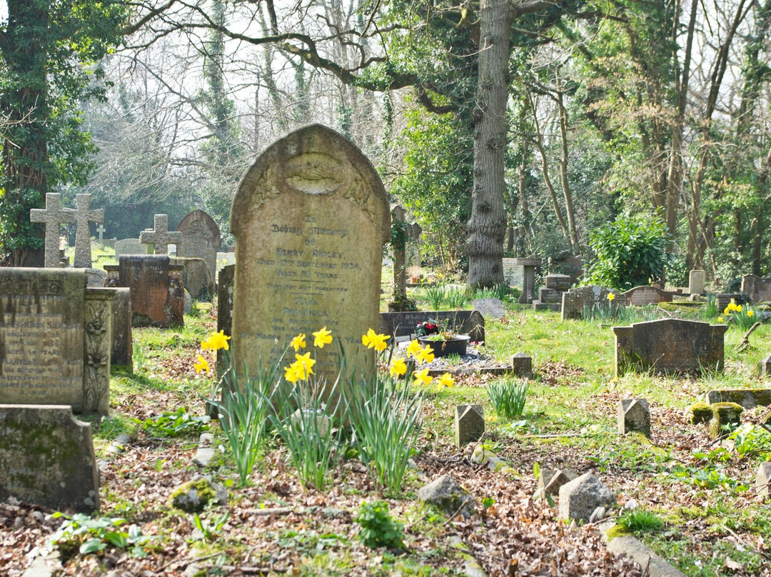St Leonard, Hollington -Church-in-the-Wood-海斯廷斯必去景点