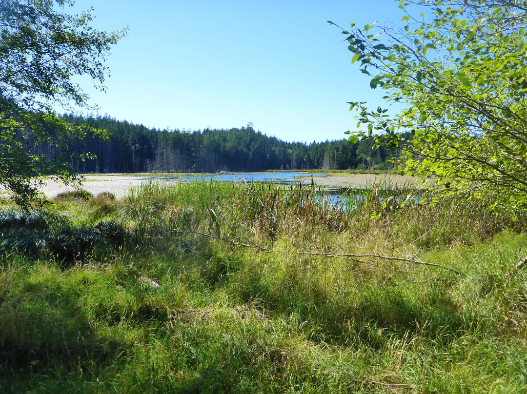 Simson Provincial Park
