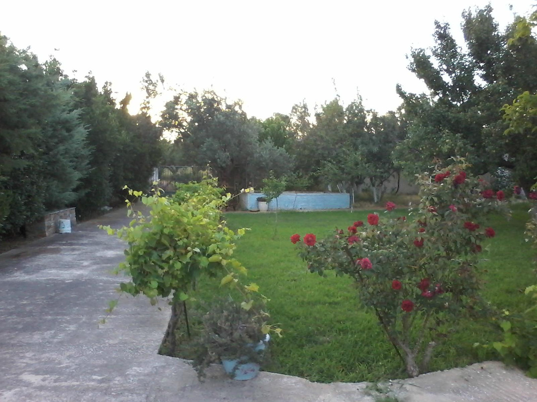 Anemomylos Bungalows主图