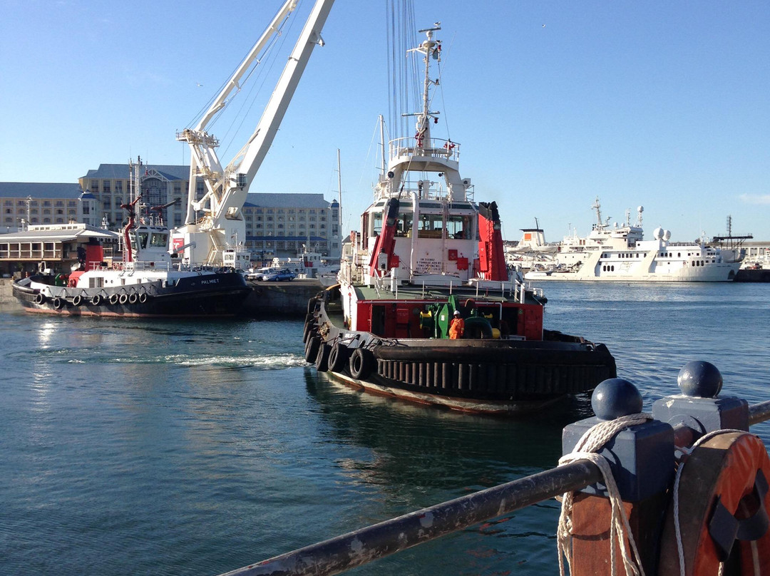 Chalan Africa Tours & Travel-开普敦中心区必去景点