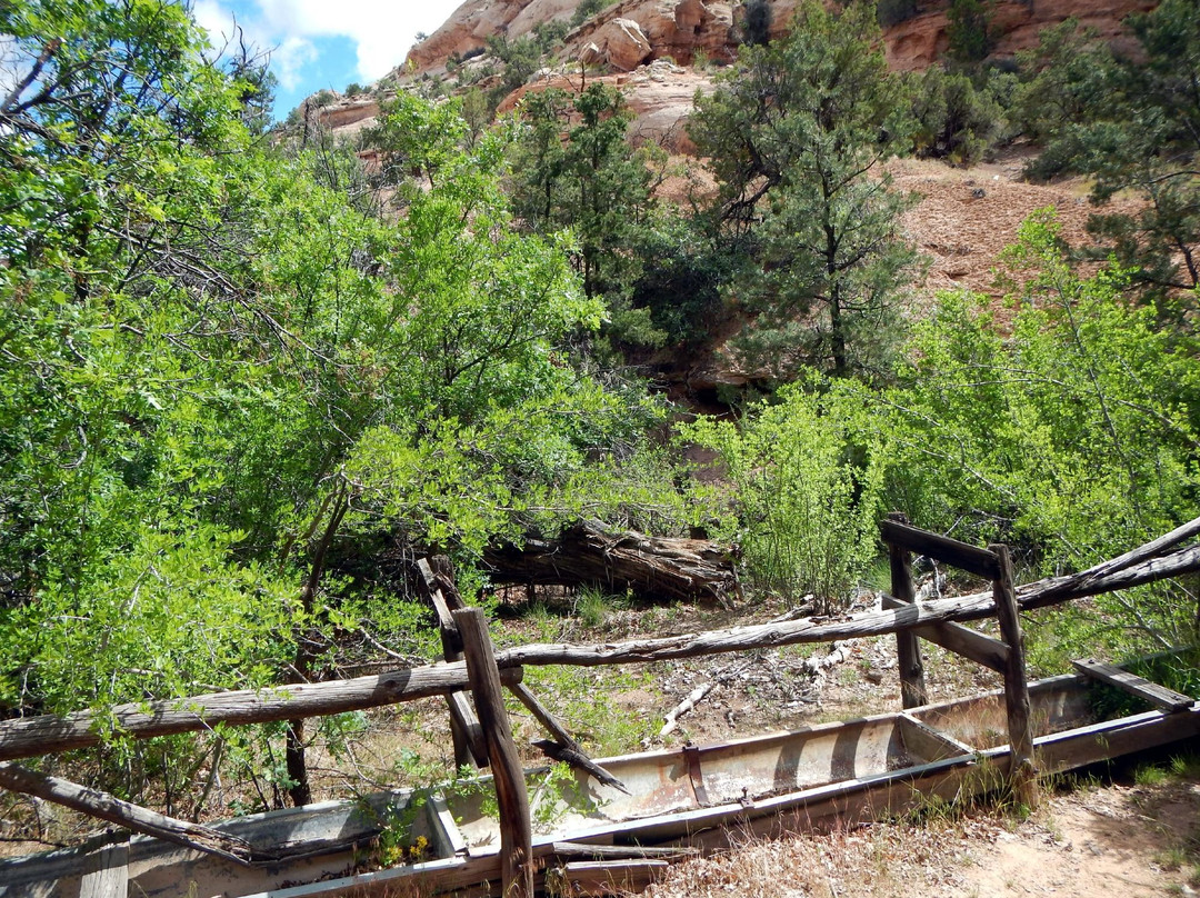 Neck Spring Trail-峡谷地国家公园必去景点