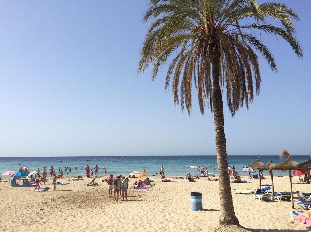Playa de Cala Mayor景点图片
