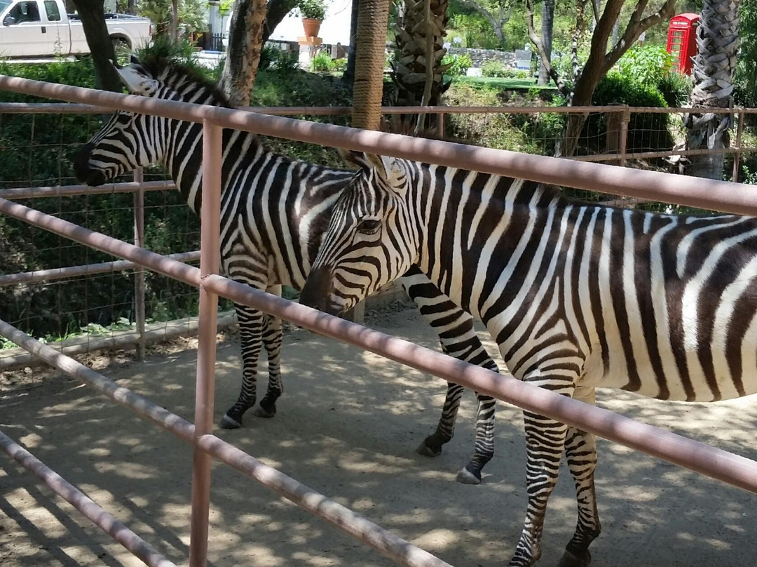 Rancho Las Lomas Wildlife Foundation-Silverado必去景点