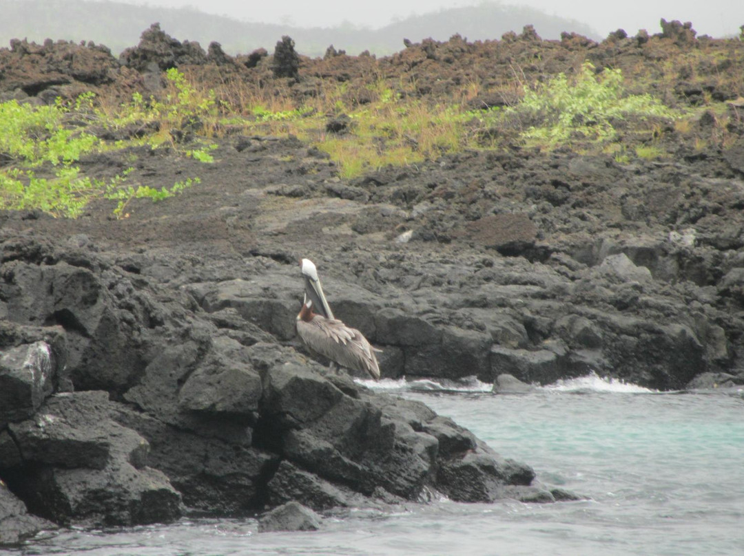 Cerro Brujo-圣克里斯托瓦尔必去景点