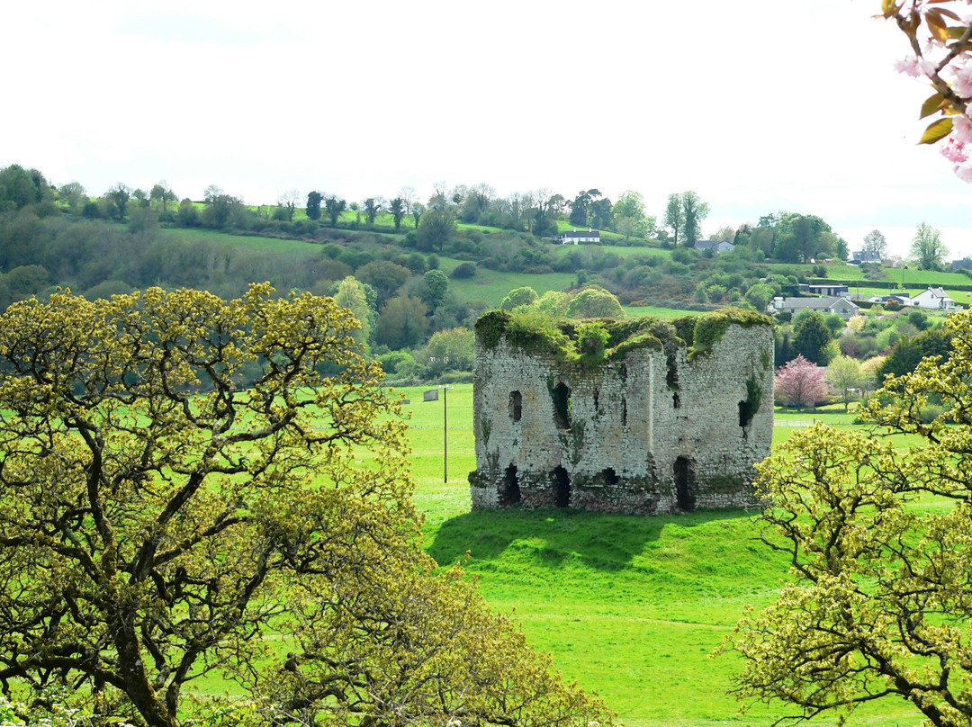 Grennan Castle景点图片