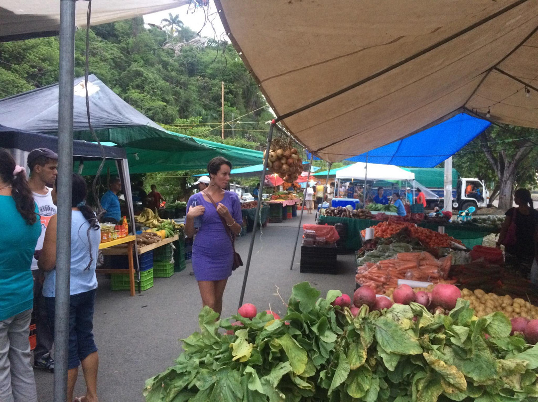 Farmers Fair (Ferias del Agricultor)景点图片