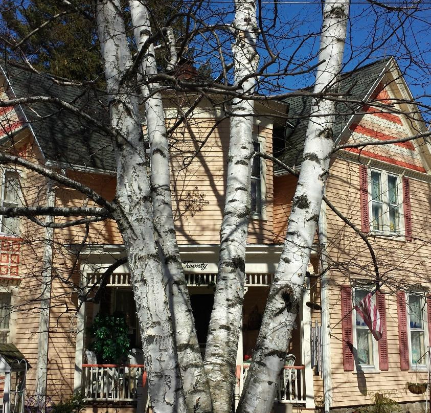 Fairport酒店住宿-Twenty Woodlawn B&B