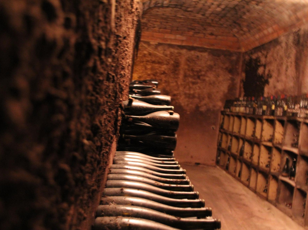 Cavas Giró Ribot景点图片