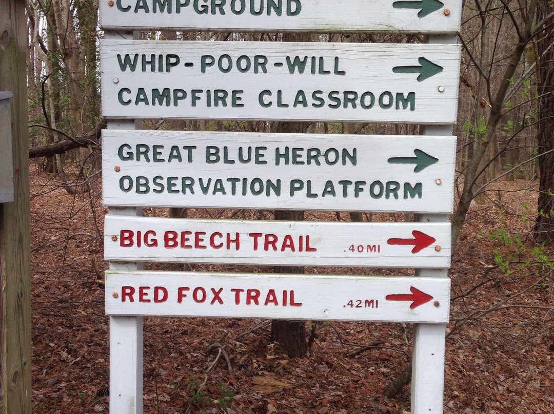 Sandy Bottom Nature Park-汉普顿必去景点