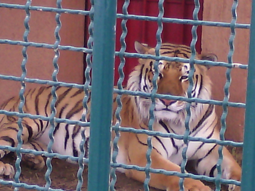 Mundo Granjero & Zoo-Contepec必去景点