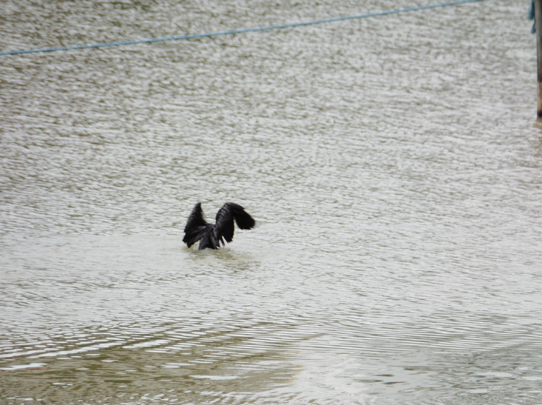Lago de Vila Galvão-瓜鲁柳斯必去景点