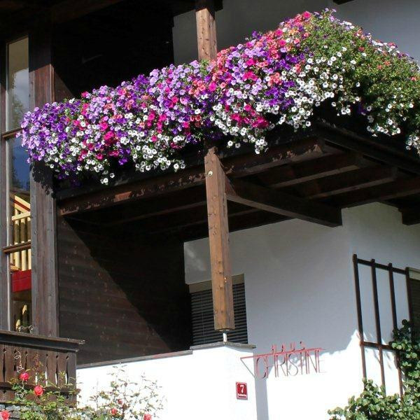 Haus Christine主图