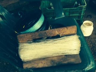 Pink Sand Tours-诺萨拉必去景点