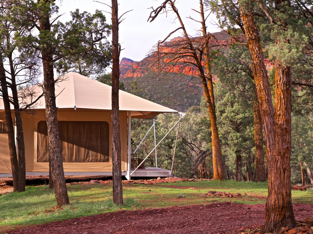 Ikara Safari Camp