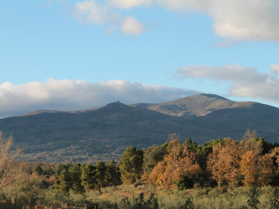 El Molino de los Pilares主图