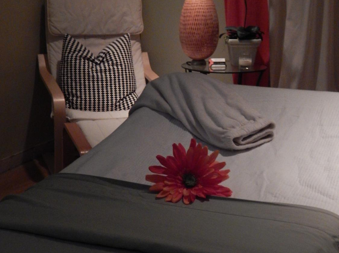 The Posh Daisy-华尔顿堡滩必去景点