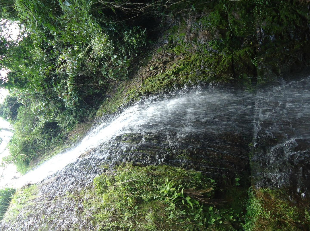 Bela Vista Waterfall景点图片