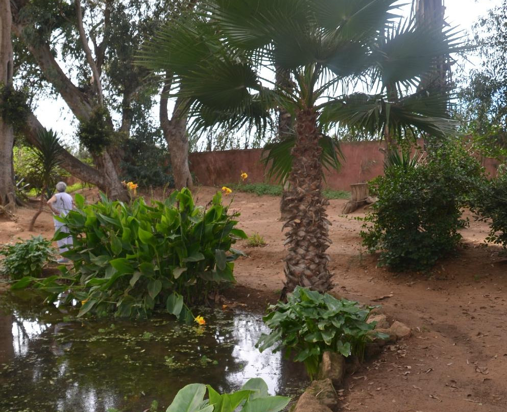 Exotic Gardens of Bouknadel-Bouknadel必去景点