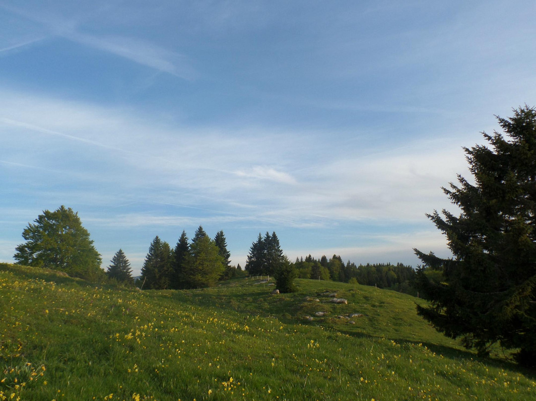 Hotel Le Trappeur主图