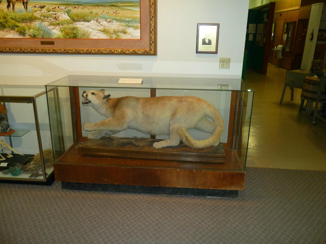 XIT Museum-Dalhart必去景点