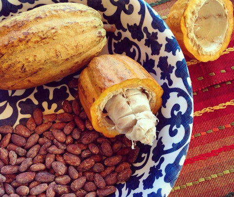 Maui Chocolate Tour-库拉必去景点