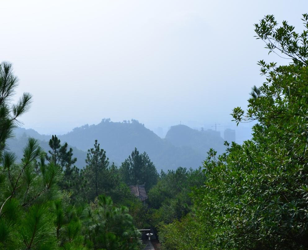 丽水莲都白云山景点图片