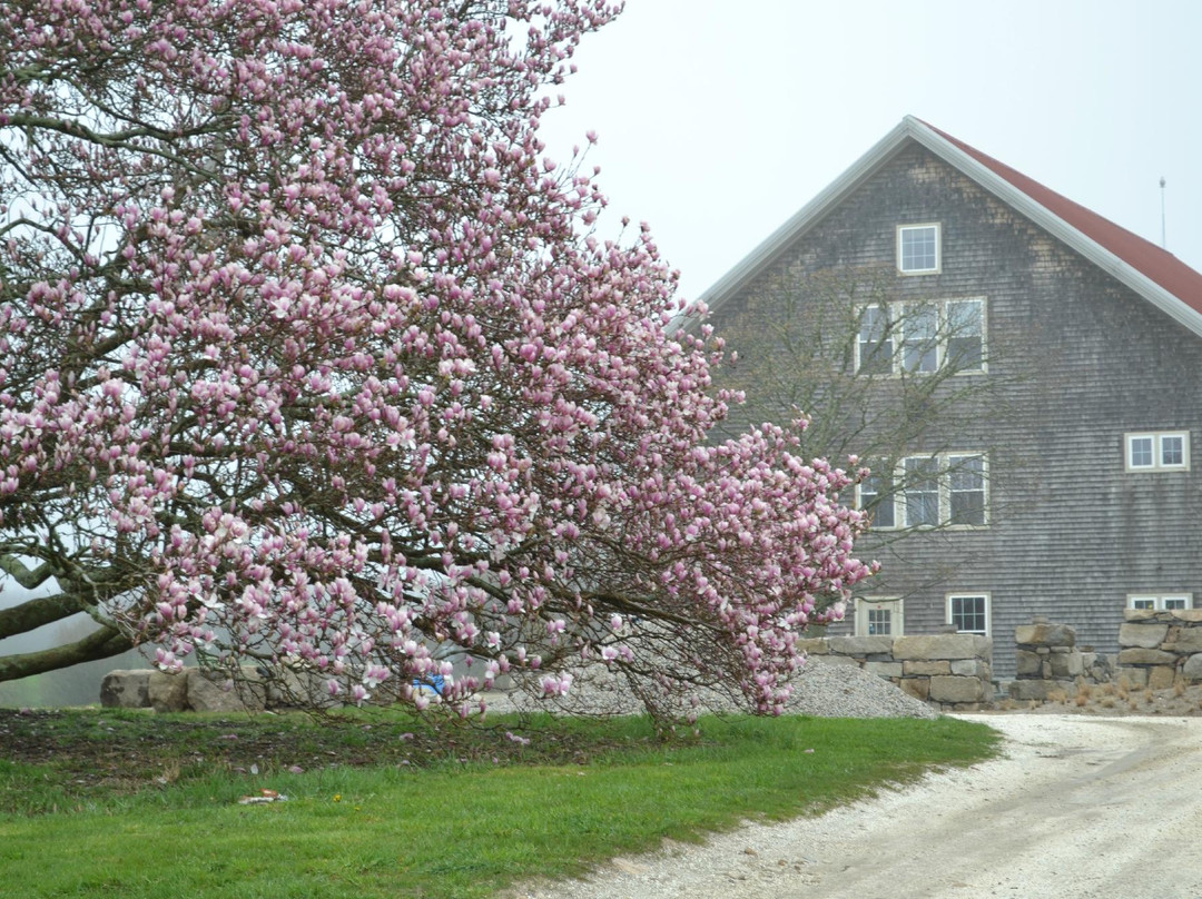 Buzzards Bay Brewing景点图片