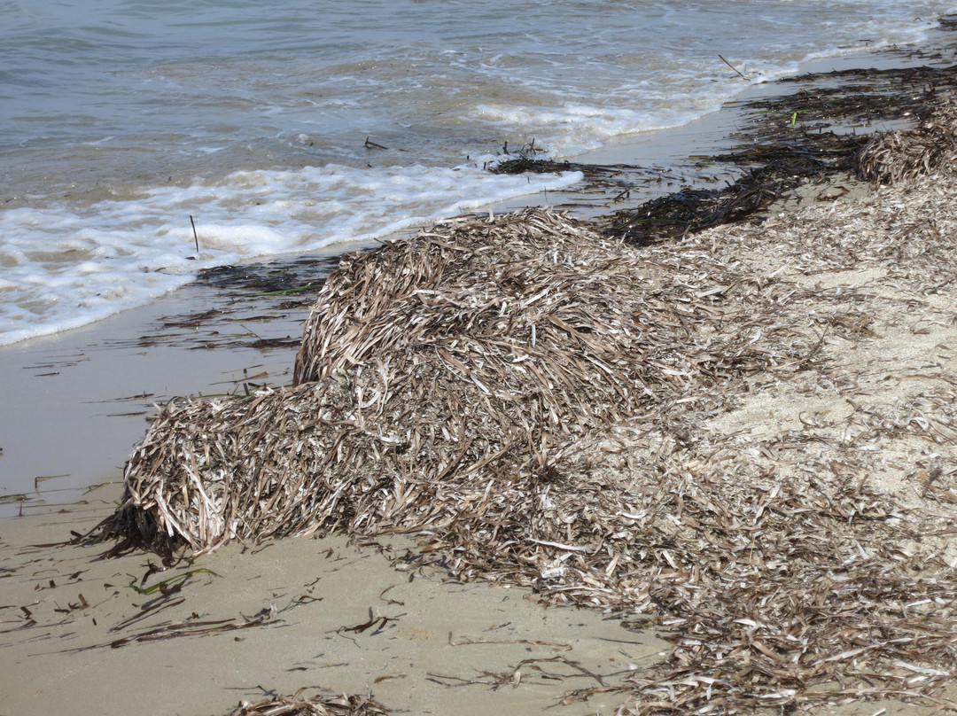 Astrakeri Beach-Astrakeri必去景点