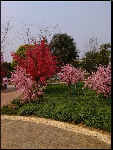 广州从化宝趣玫瑰世界-从化市必去景点