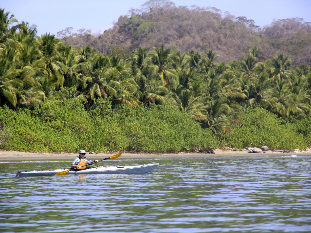 Seascape Kayak Tours景点图片