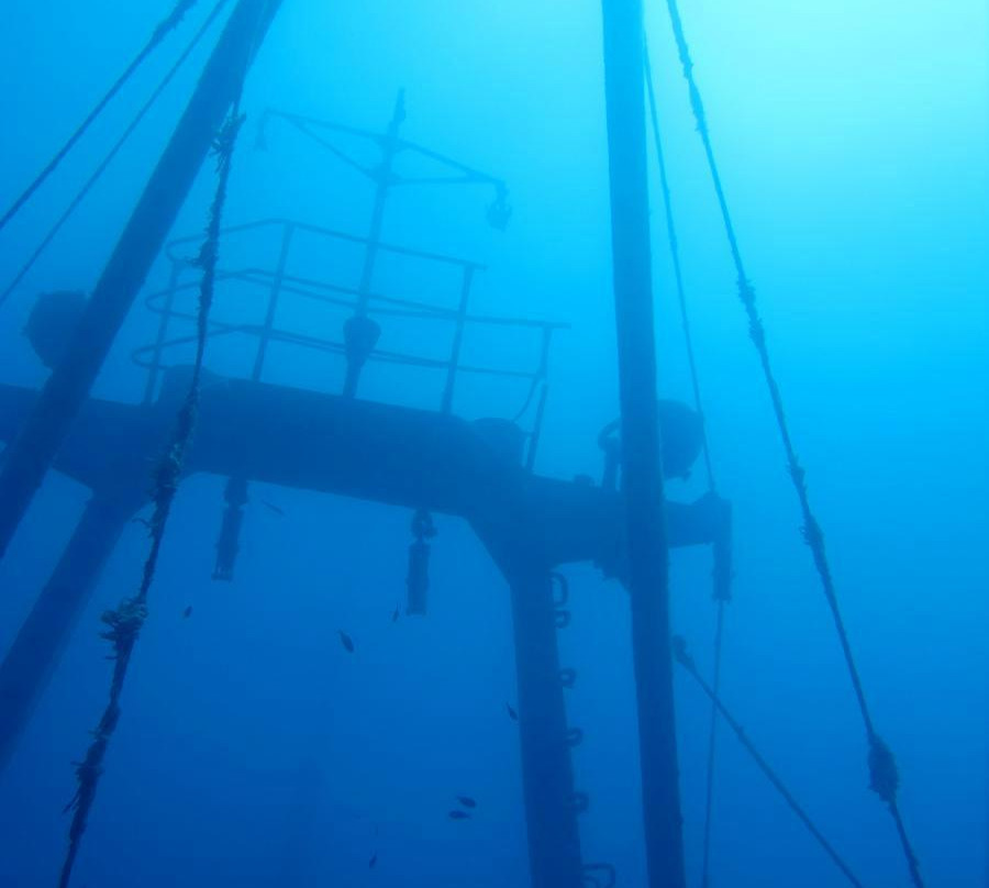 Dive-In Limassol-利马索尔必去景点