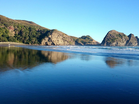 丛林海滩观光之旅-奥克兰中心地区必去景点