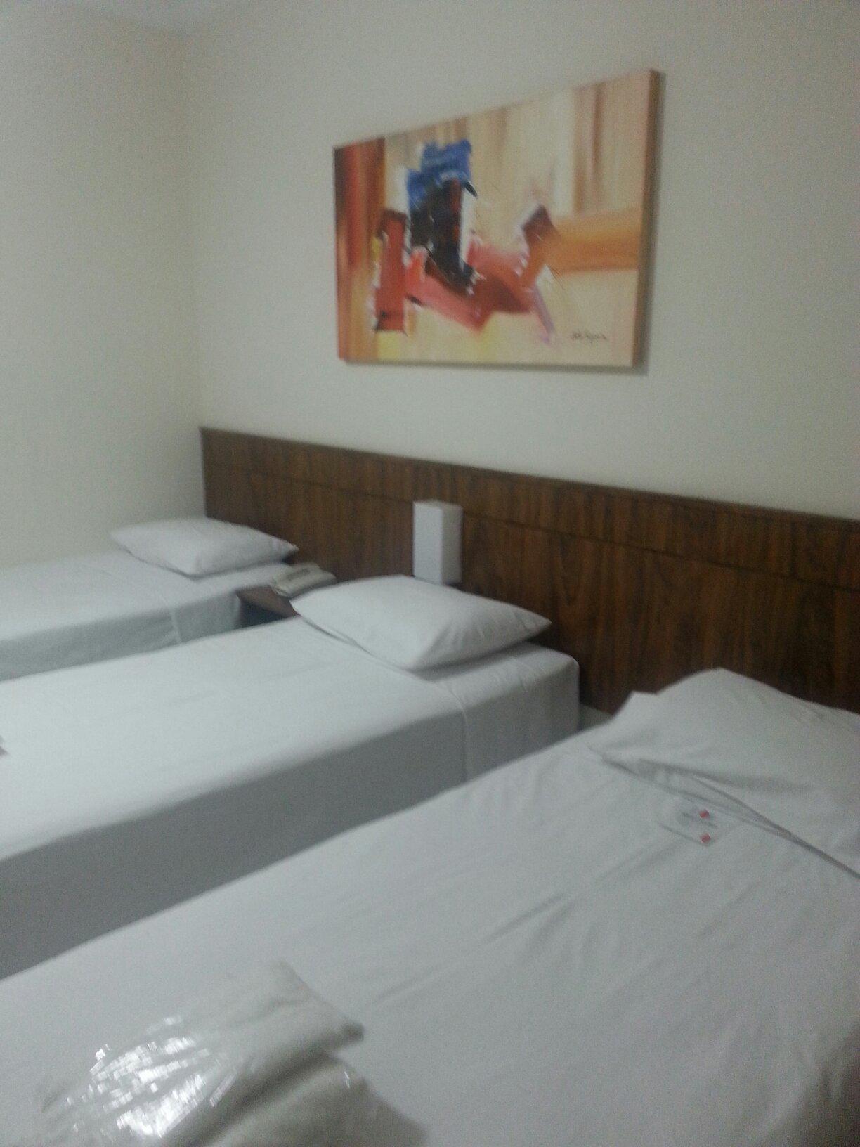 Steel Valley Economic-客卧