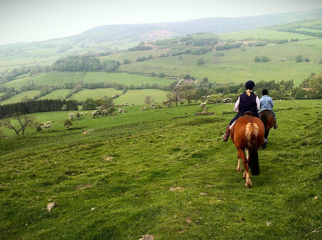 Boltby Pony Trekking-瑟斯克必去景点