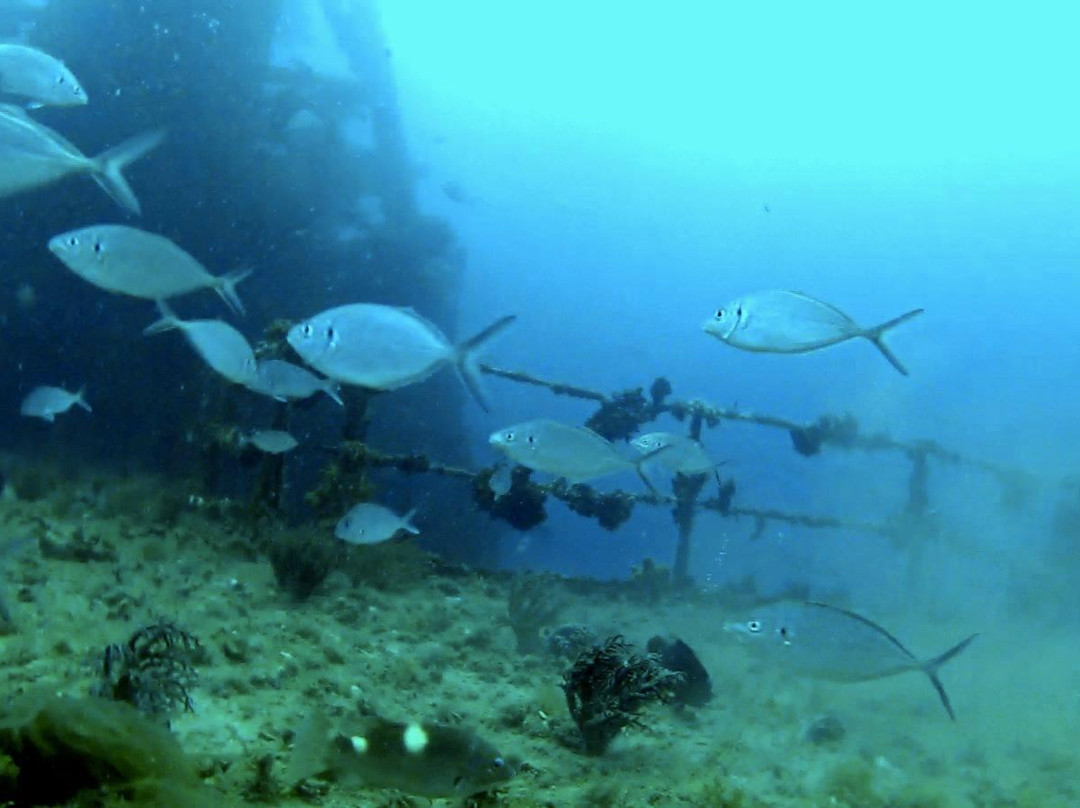 HMAS Perth-奥尔巴尼必去景点