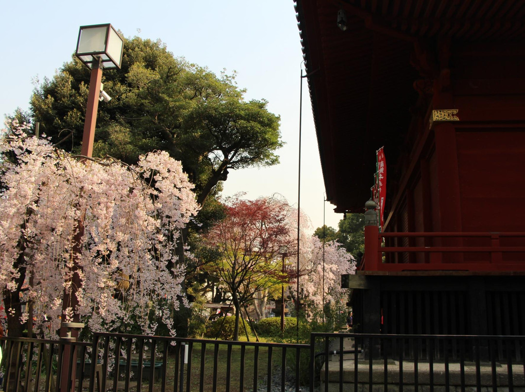 浅草神社-Asakusa必去景点