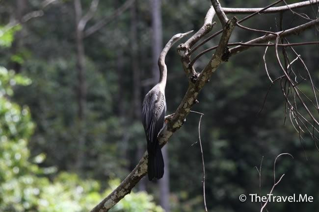 踏缤野生动物保护区-拉哈达图必去景点