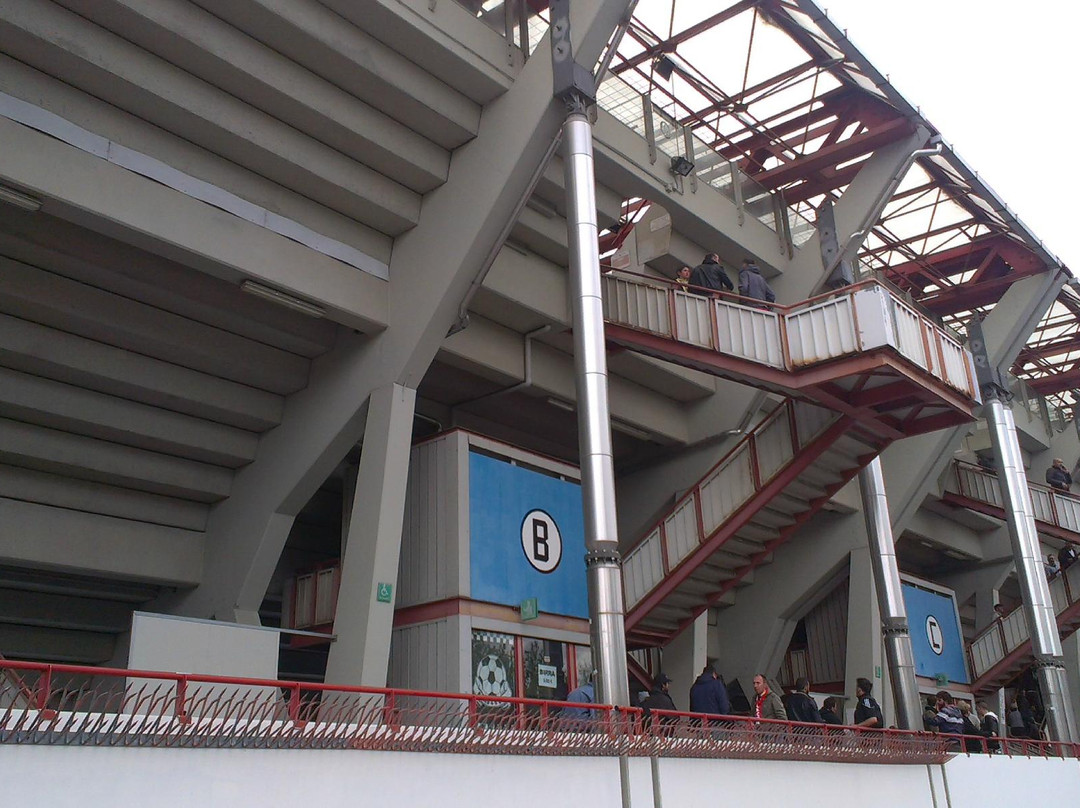 Orogel Stadium Dino Manuzzi景点图片