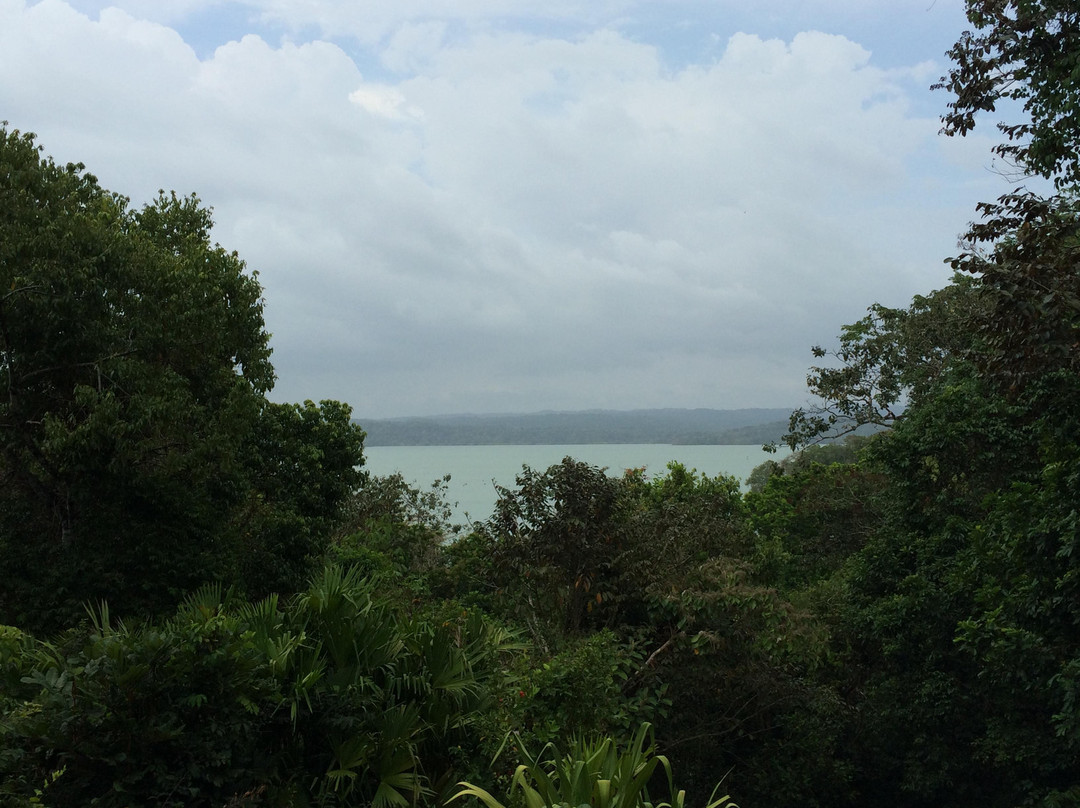 Barro Colorado Island景点图片